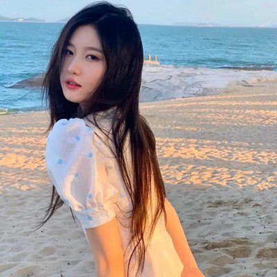 飞鹰艾迪